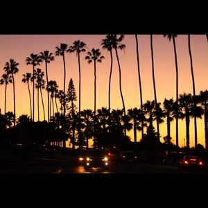 Meet your Posher, Chase